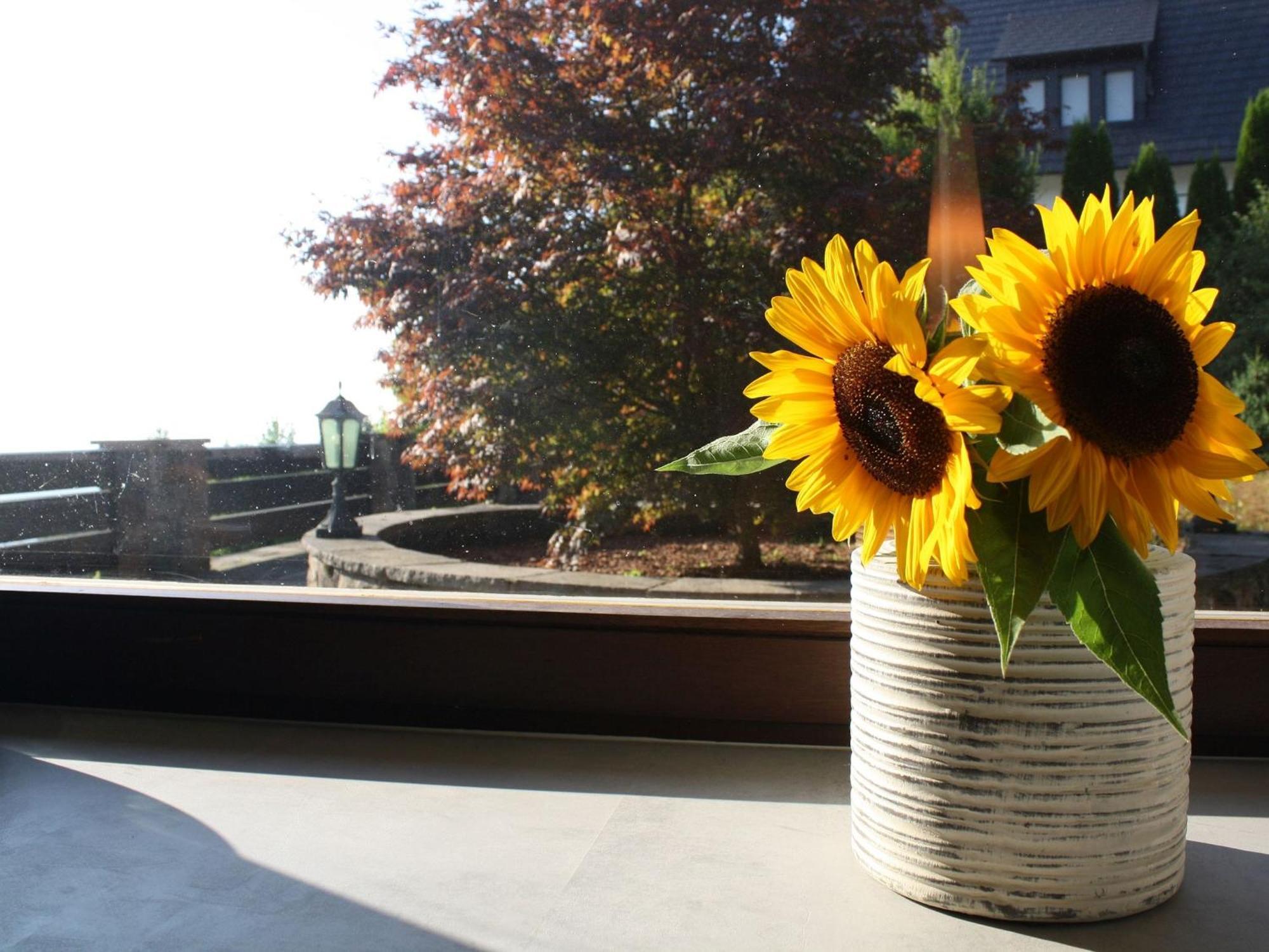 Haus Talblick Sasbachwalden Villa ภายนอก รูปภาพ