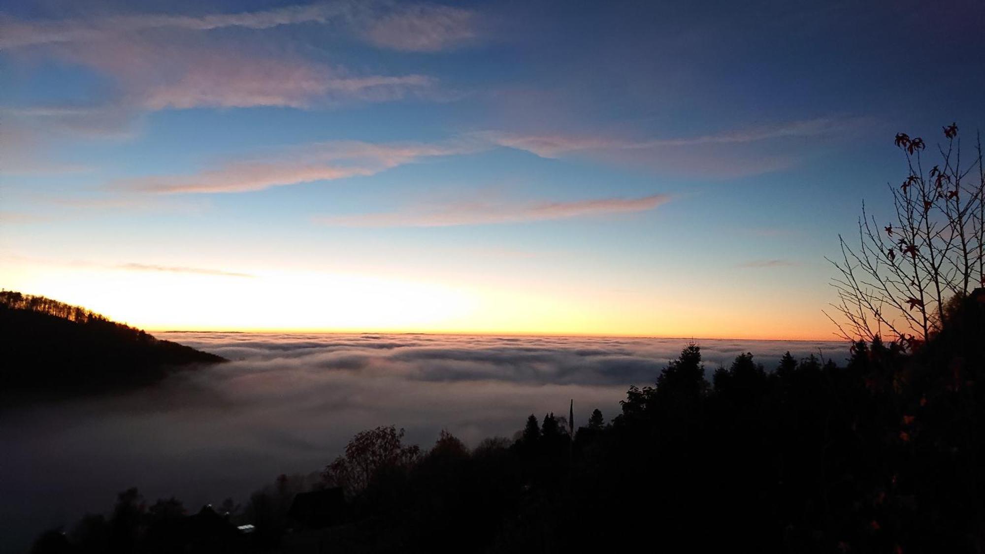 Haus Talblick Sasbachwalden Villa ภายนอก รูปภาพ