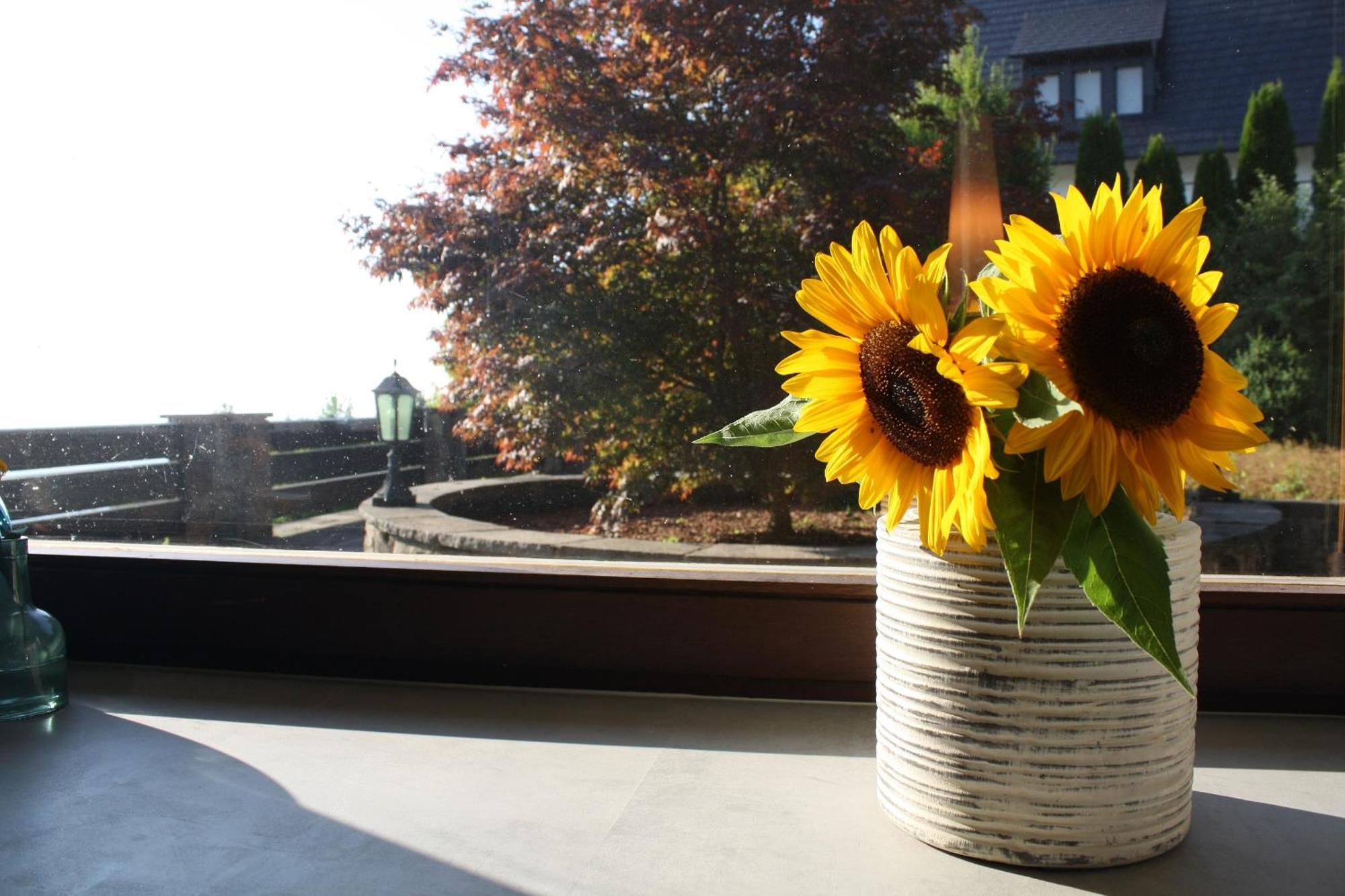 Haus Talblick Sasbachwalden Villa ภายนอก รูปภาพ